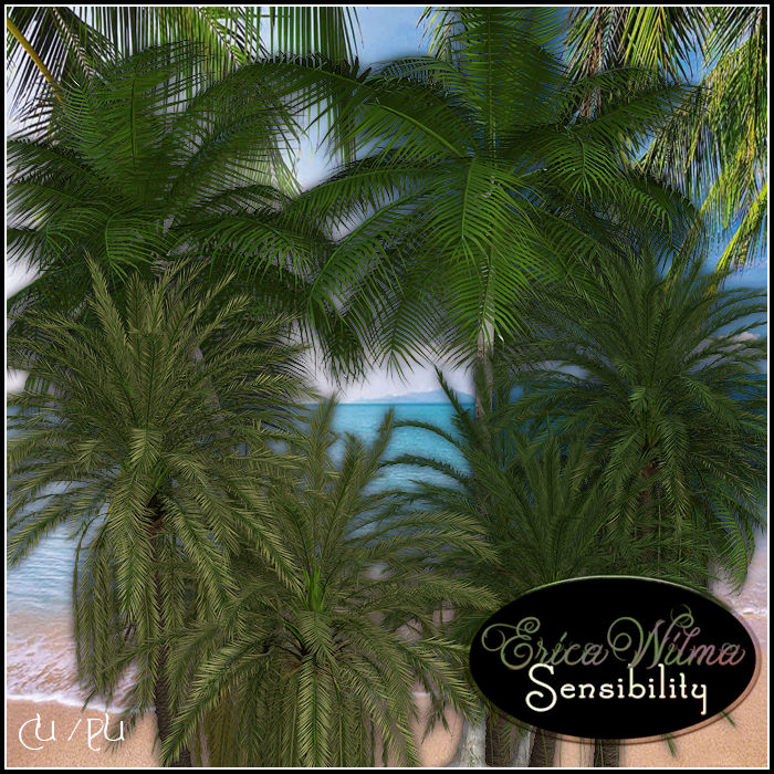 (image for) EW Palmtrees 2020